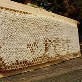 Cire d'abeille شهد