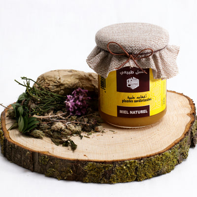 Miel Plantes Medicinales